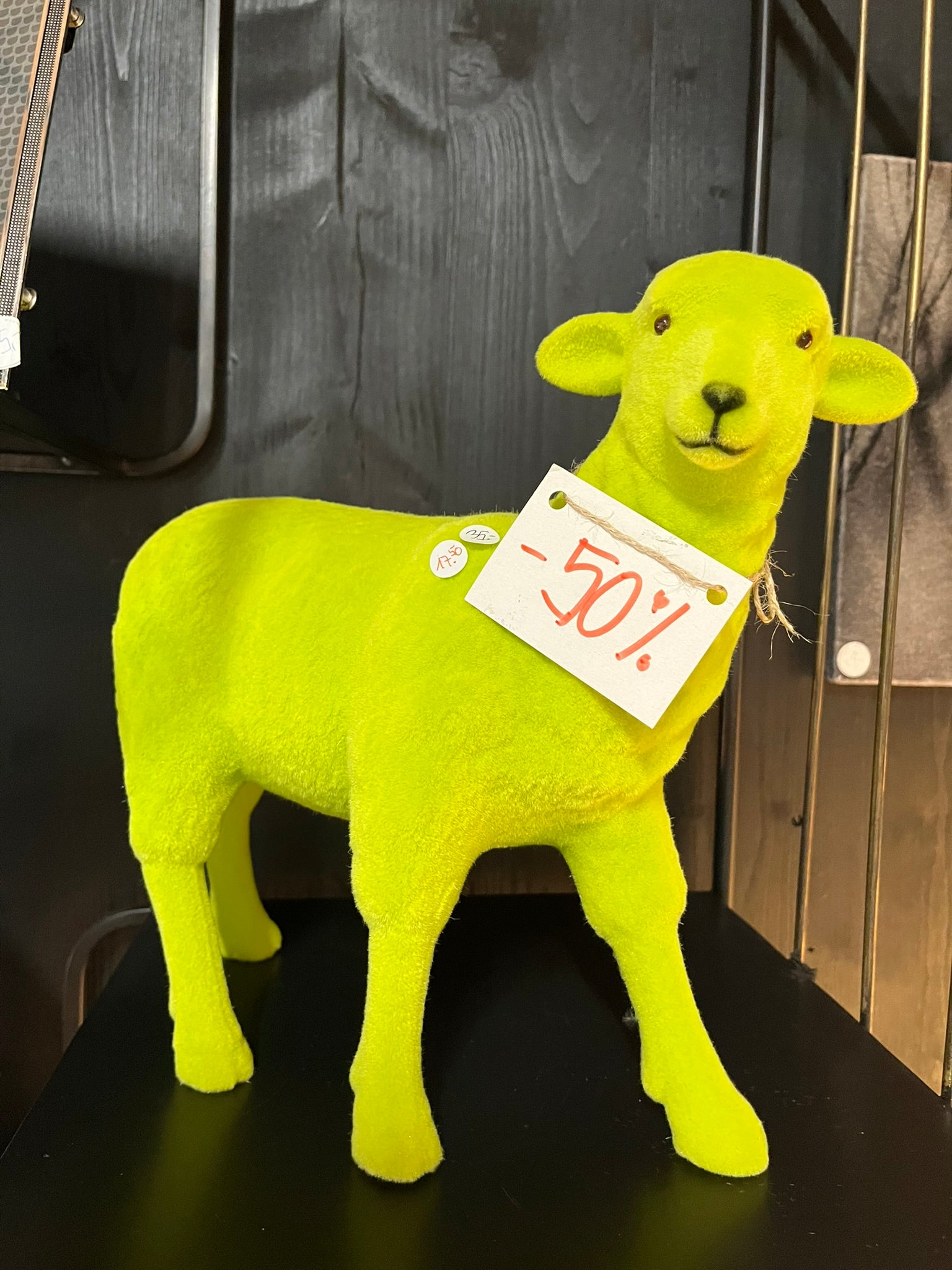 farbiges Schaf